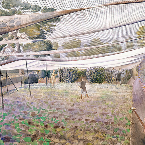 Eric Ravilious ‘Strawberry Nets’, watercolour, 1932.